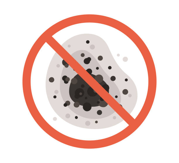 Best Basement Mold Removal  in Cleburne, TX